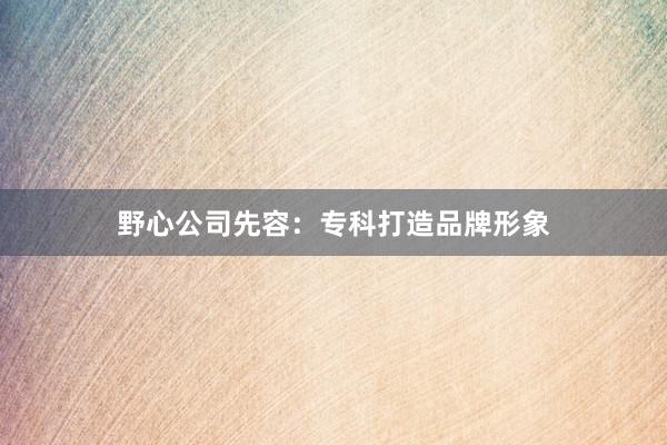 野心公司先容：专科打造品牌形象